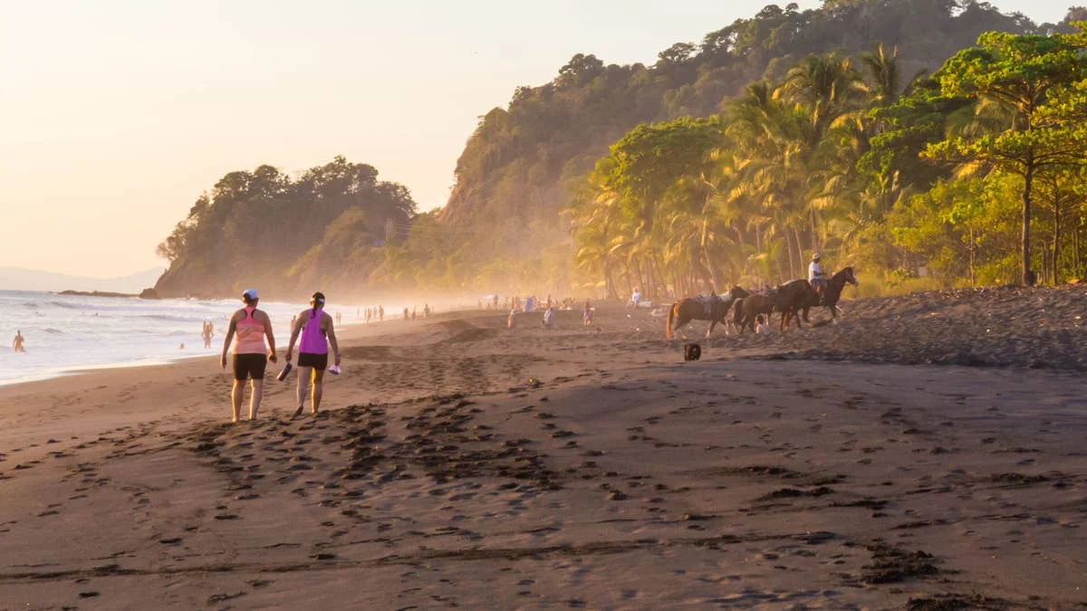 A Surfer's Heartfelt Gesture Transforms Costa Rica's Coastal Environment