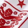 England fans can get official World Cup shirt for just £4.65 ahead of Ghana game